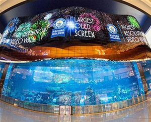 OLED（ 4 ）